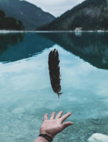 羽毛图片2